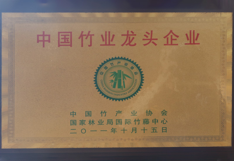 中国竹业龙头企业
